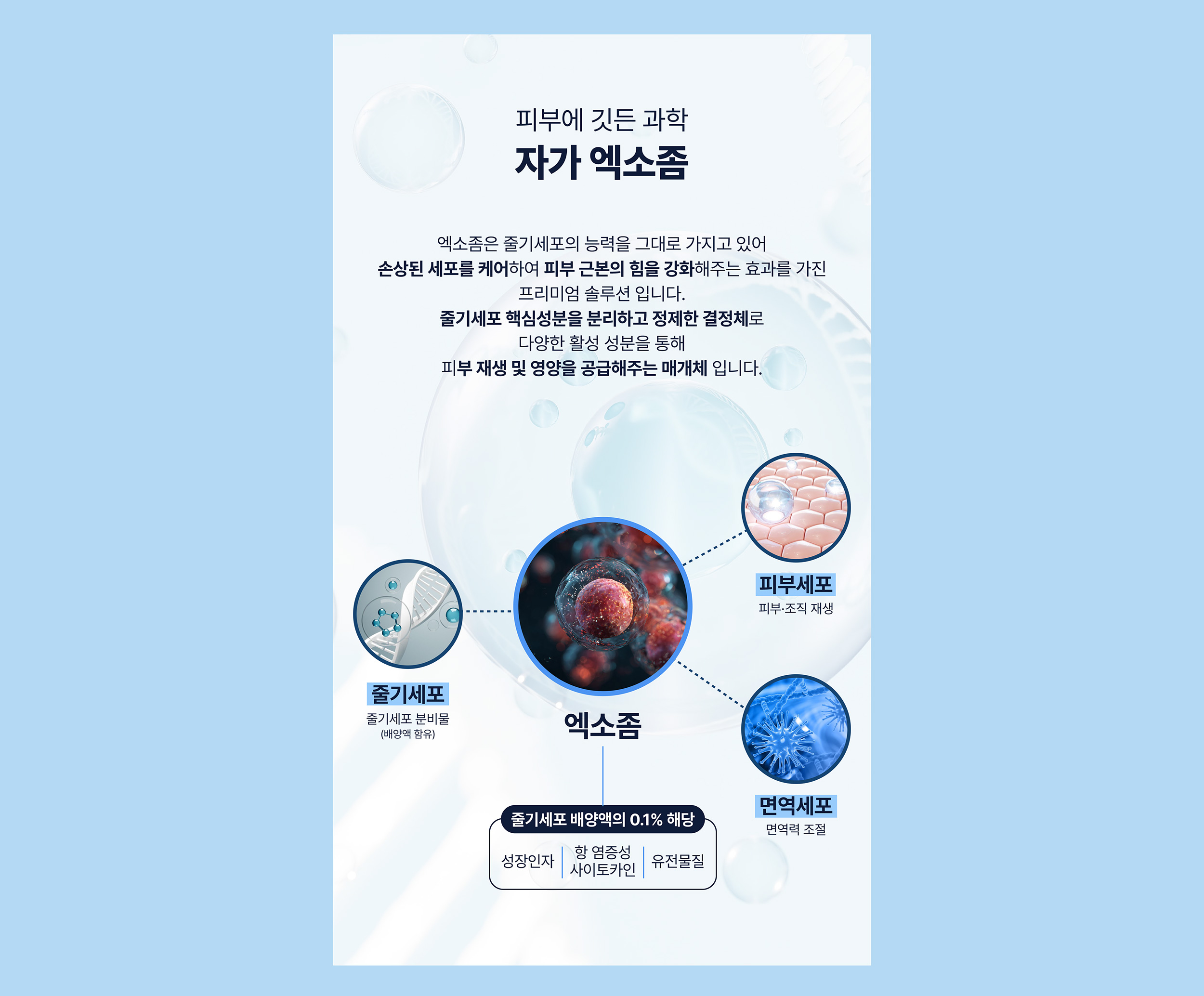 피부에 깃든 과학, 자가 엑소좀